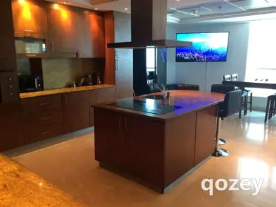 Penthouse Maids Room in Huge Duplex apt, ensuite bathroom, 50inch TV