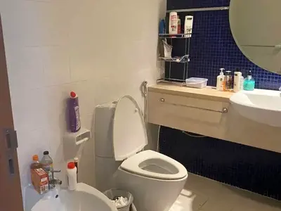 Ladies bed space in DIFC
