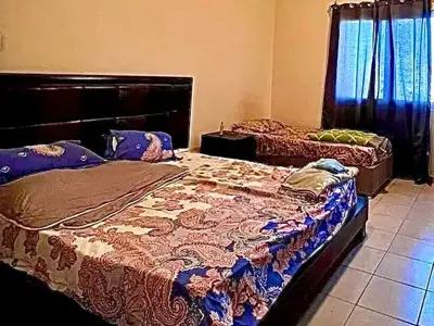 Executive female bedspace in Discovery Gardens
