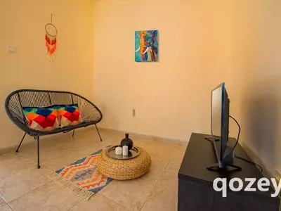 Chic Urban Room for Single Male in JVC