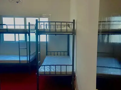 Male bed space in Al Warqaa 1